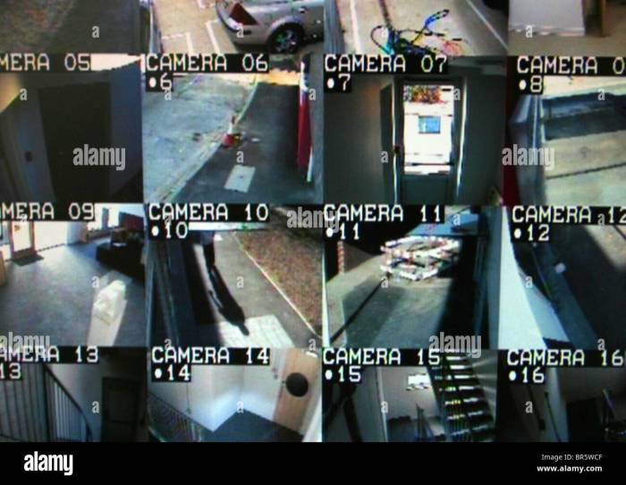 Home security cameras and monitoring